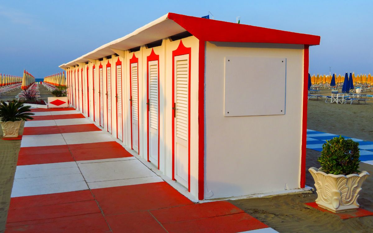 Immagine in primo piano allegata alla pagina