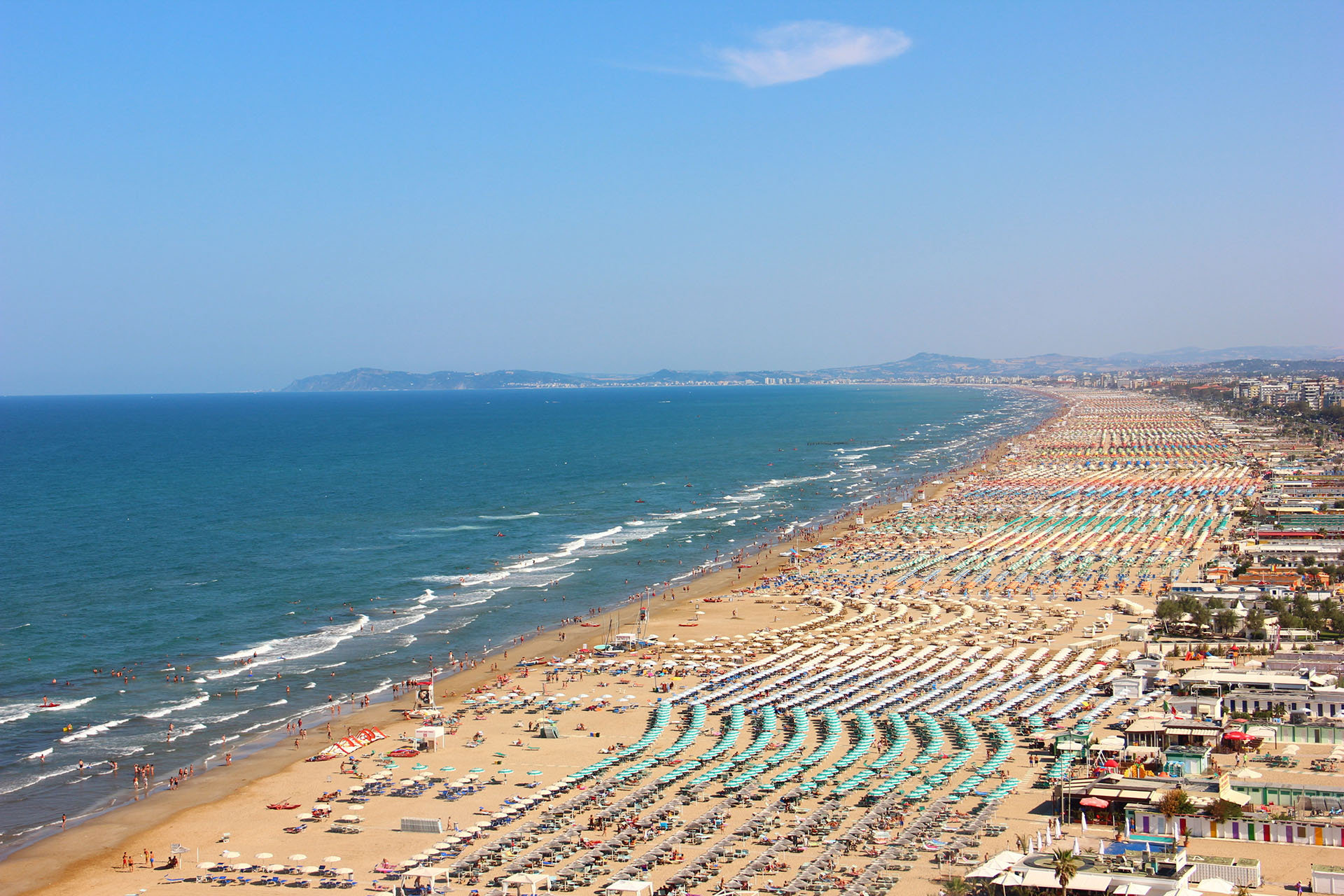 Immagine in primo piano allegata alla pagina