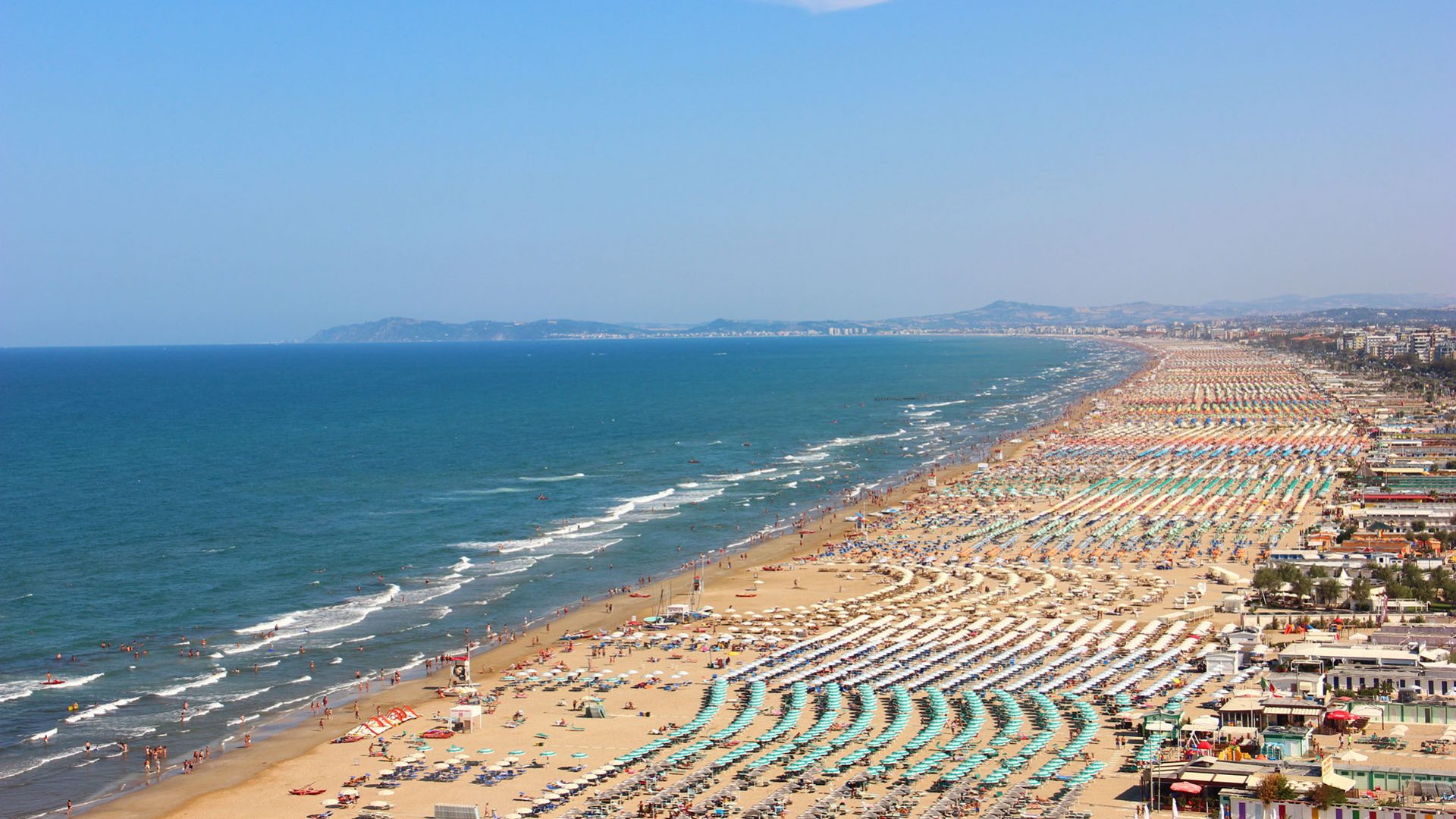 Immagine in primo piano allegata alla pagina