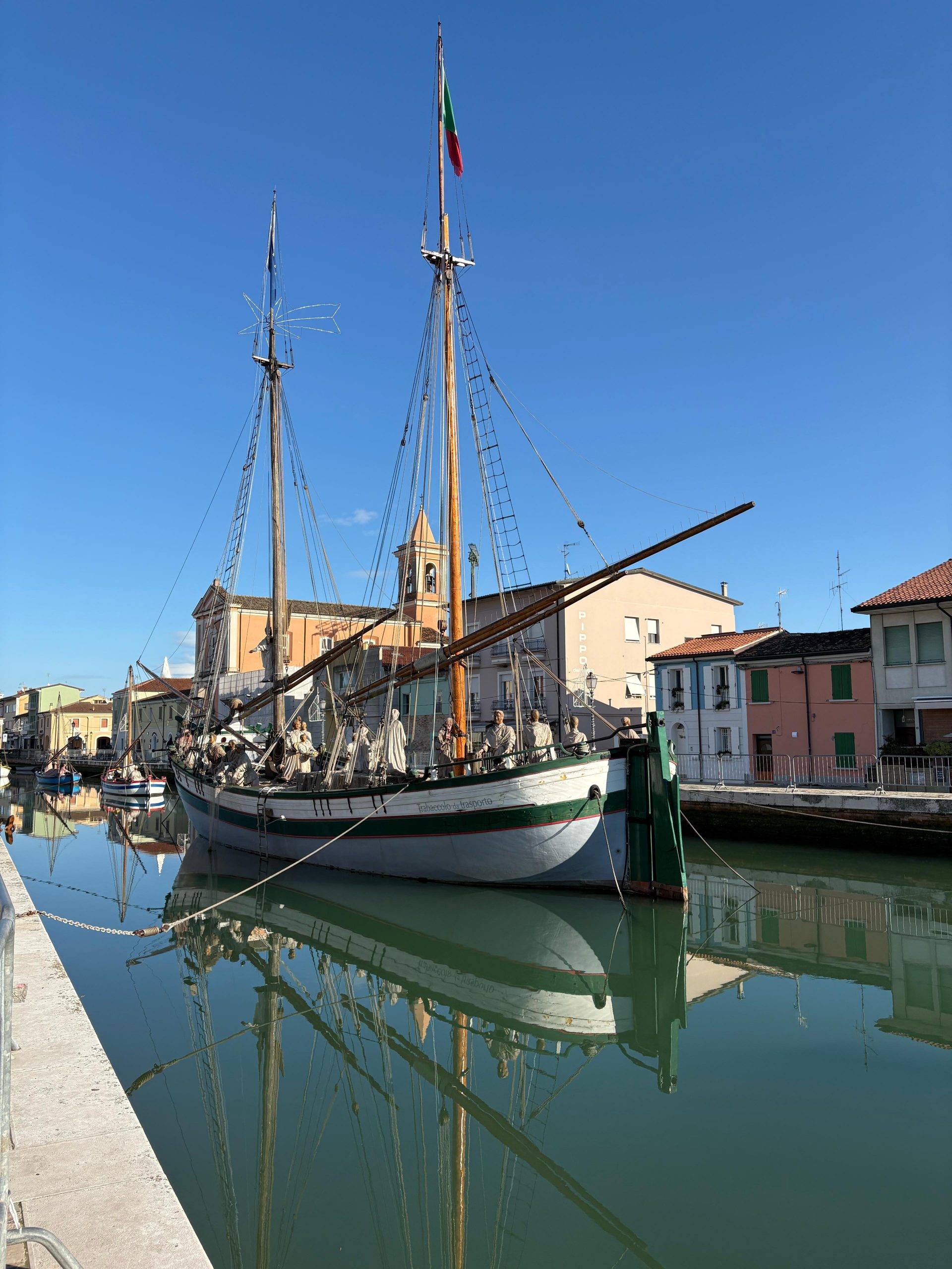 Immagine in primo piano allegata alla pagina