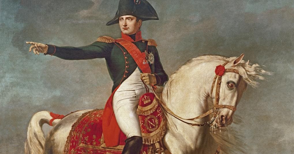 Immagine in primo piano allegata alla pagina