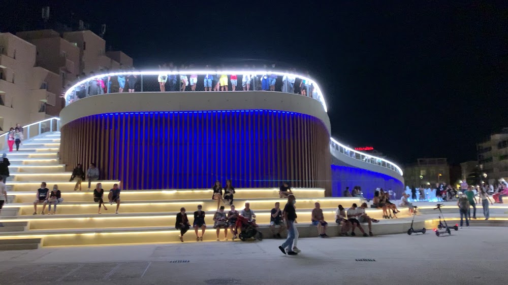 Immagine in primo piano allegata alla pagina