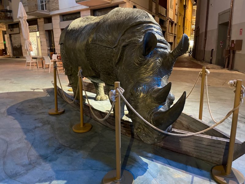 Immagine allegata al post intitolato "Il Museo Fellini"