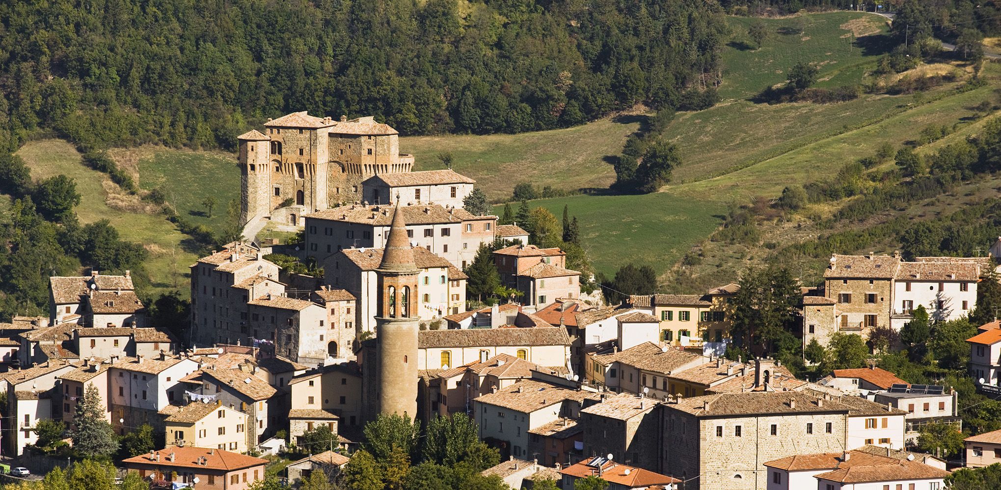 Immagine in primo piano allegata alla pagina