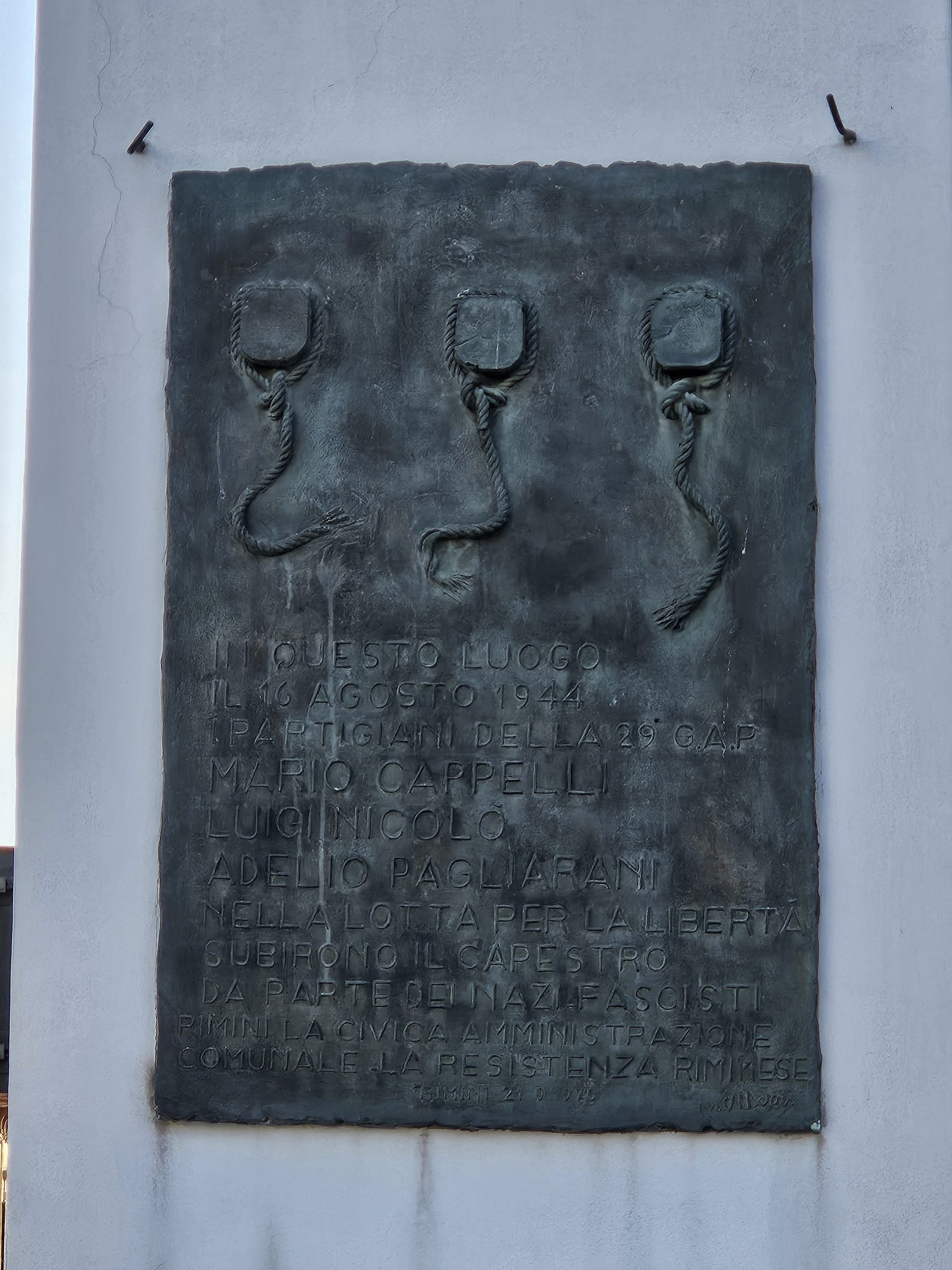 Immagine in primo piano allegata alla pagina